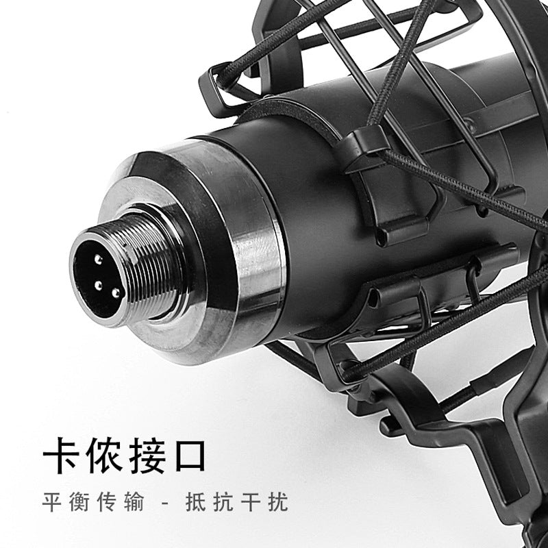 Professional Large-Diaphragm Condenser Microphone KMS-U47