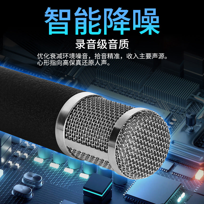 TF-51 Large-Diaphragm Condenser Microphone TF-51