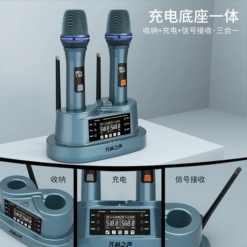 PM-1688 Dual Channel Wireless Dynamic Microphone System for Karaoke & Stage