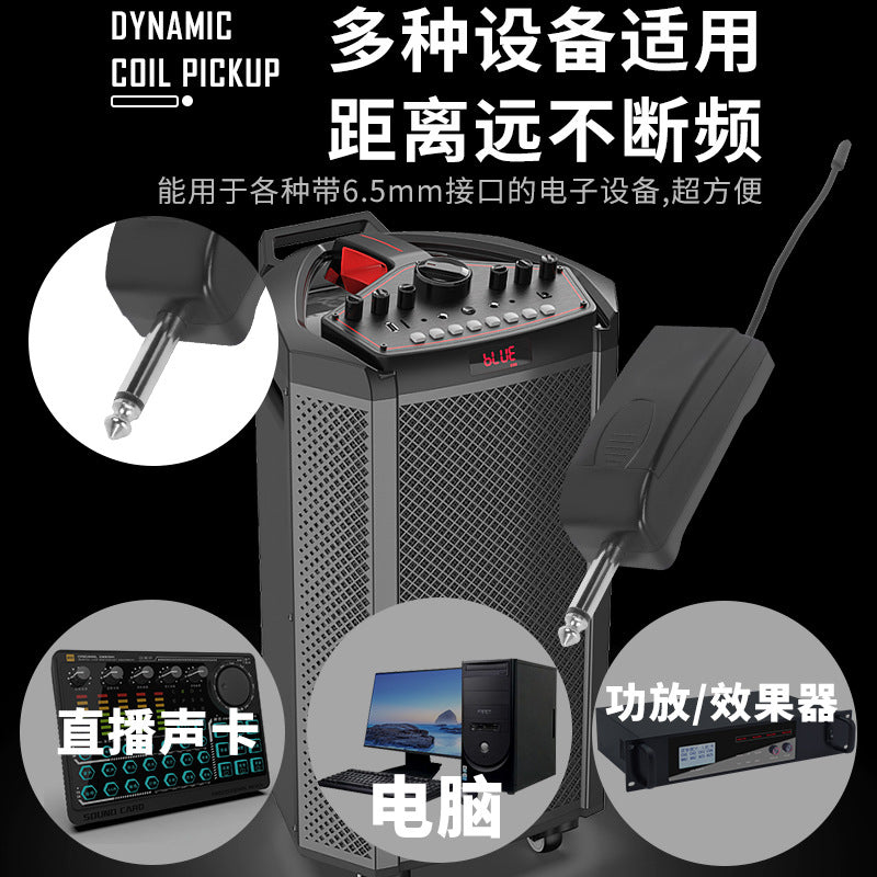 Dual Channel Wireless Microphone System