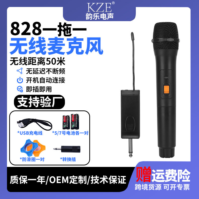 Dual Channel Wireless Microphone System