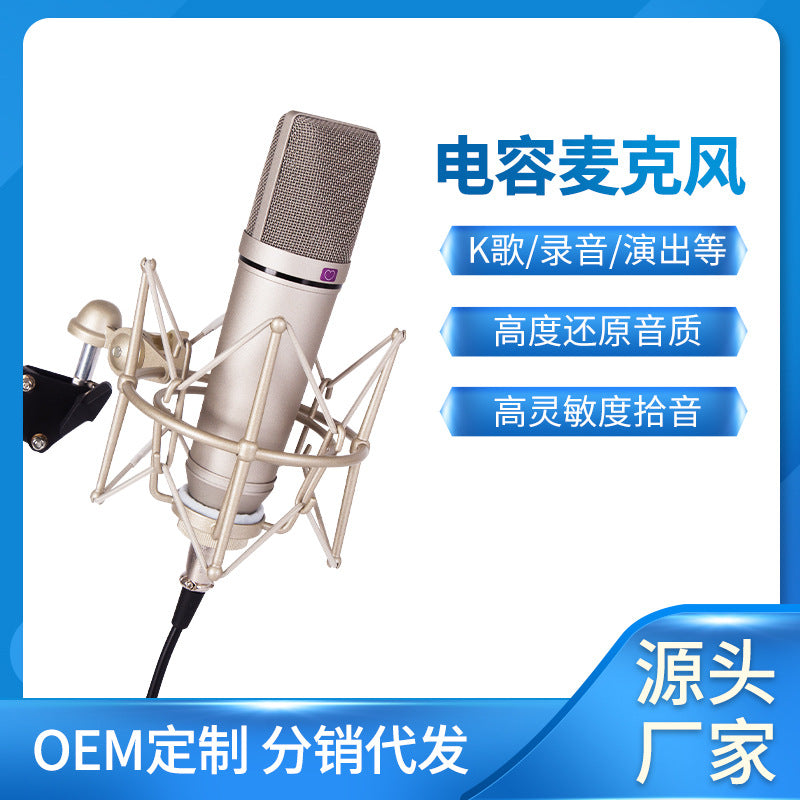 Professional Wireless Microphone System U87