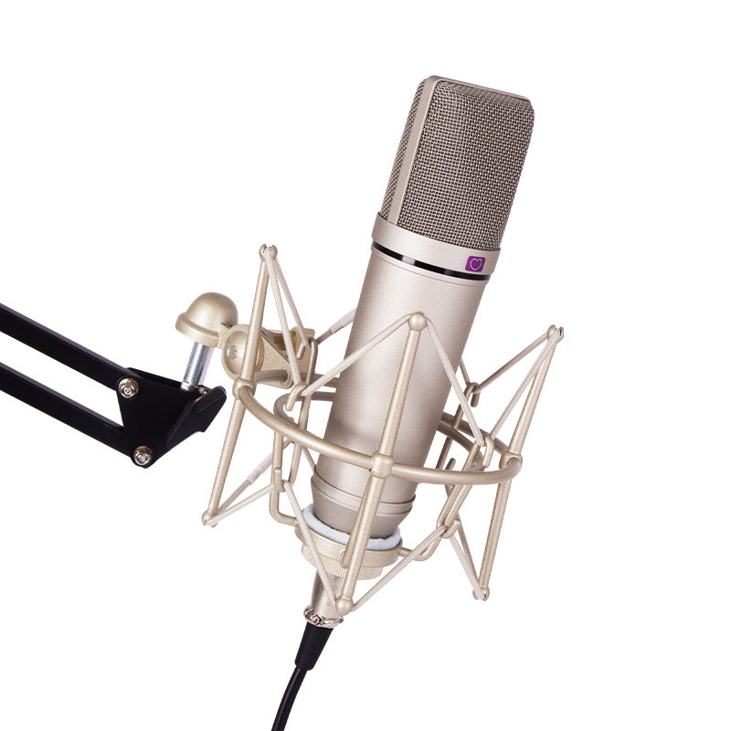 Professional Wireless Microphone System U87