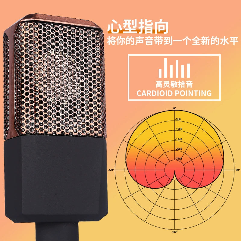 Stage Wireless In-Ear Monitor System