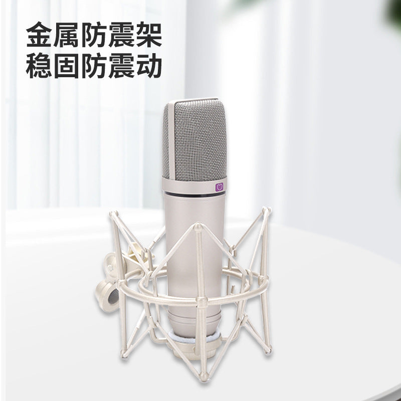 Professional Condenser Microphone U87