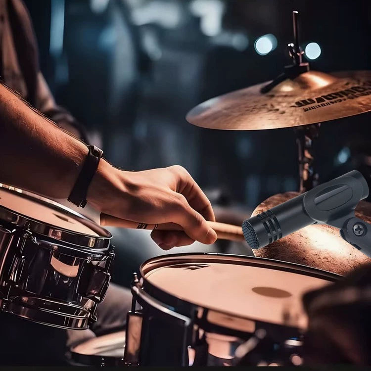 Professional Instrument Microphone