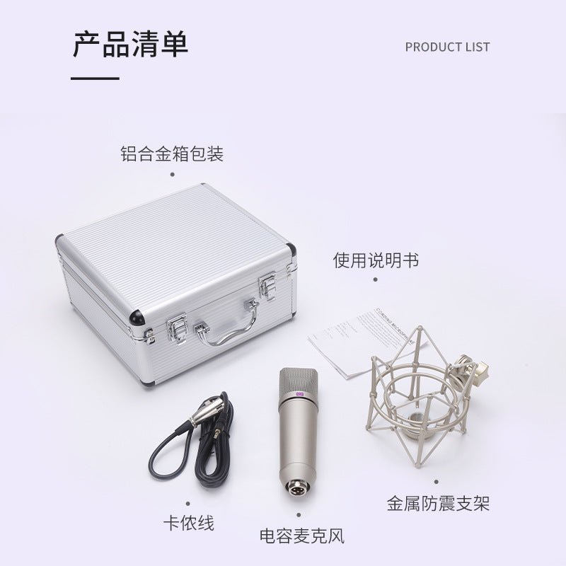 Professional Wireless Microphone System U87