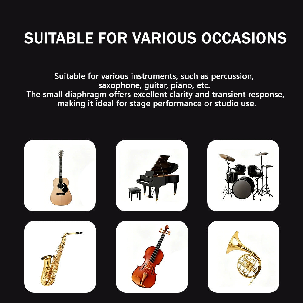 Professional Instrument Microphone