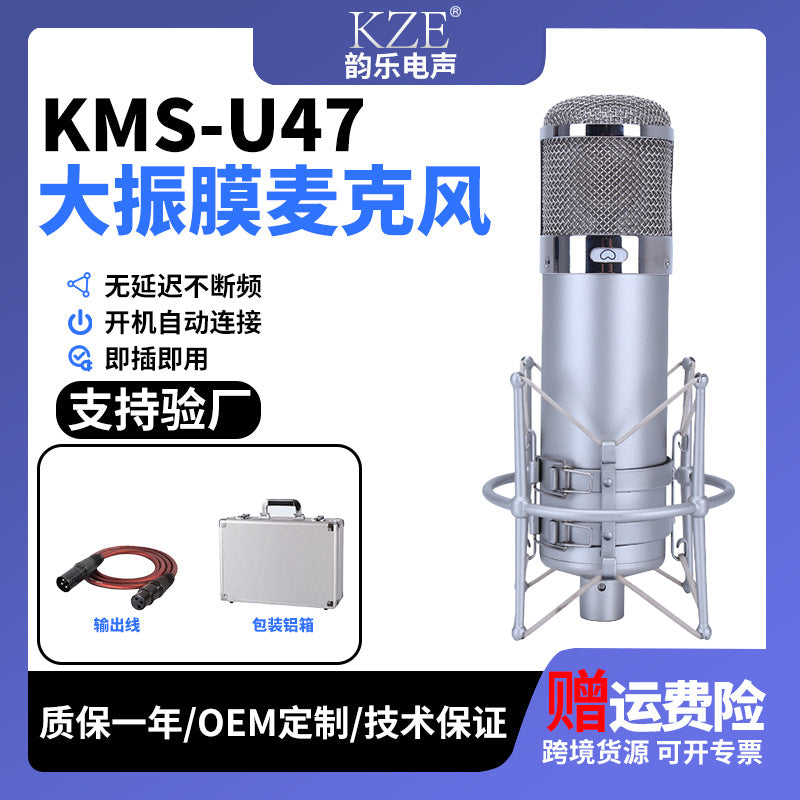 Professional Condenser Microphone U87