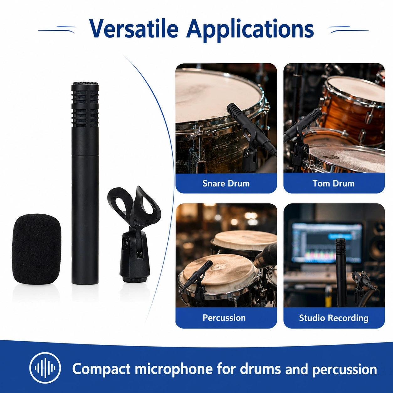 Chorus Large-Diaphragm Condenser Microphone