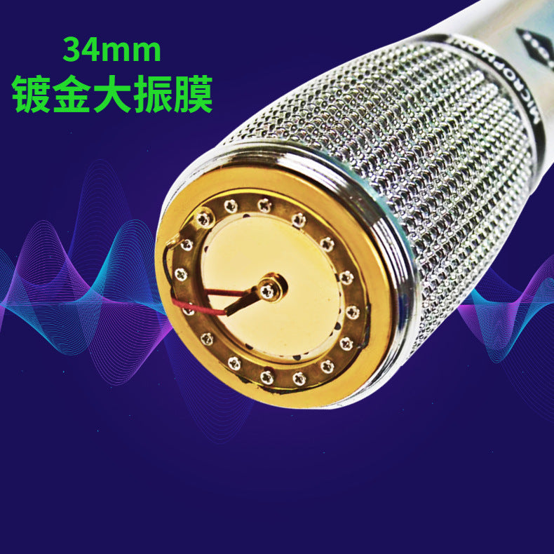 Torch Large-Diaphragm Condenser Microphone