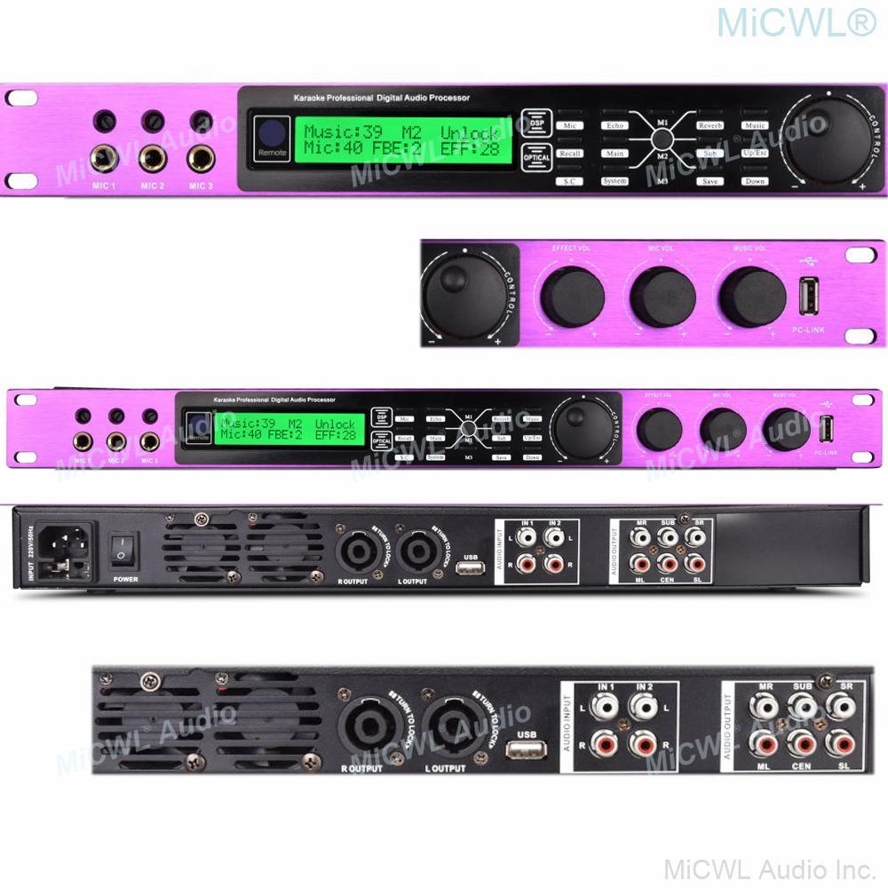 MiCWL 2 Channel 2600W Digital Power Amplifier Karaoke Microphone Effects Processor Controller 3 Mics Input USB to PC Two-In-Nne - MiCWL Audio Inc