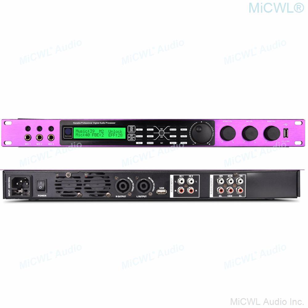 MiCWL 2 Channel 2600W Digital Power Amplifier Karaoke Microphone Effects Processor Controller 3 Mics Input USB to PC Two-In-Nne - MiCWL Audio Inc