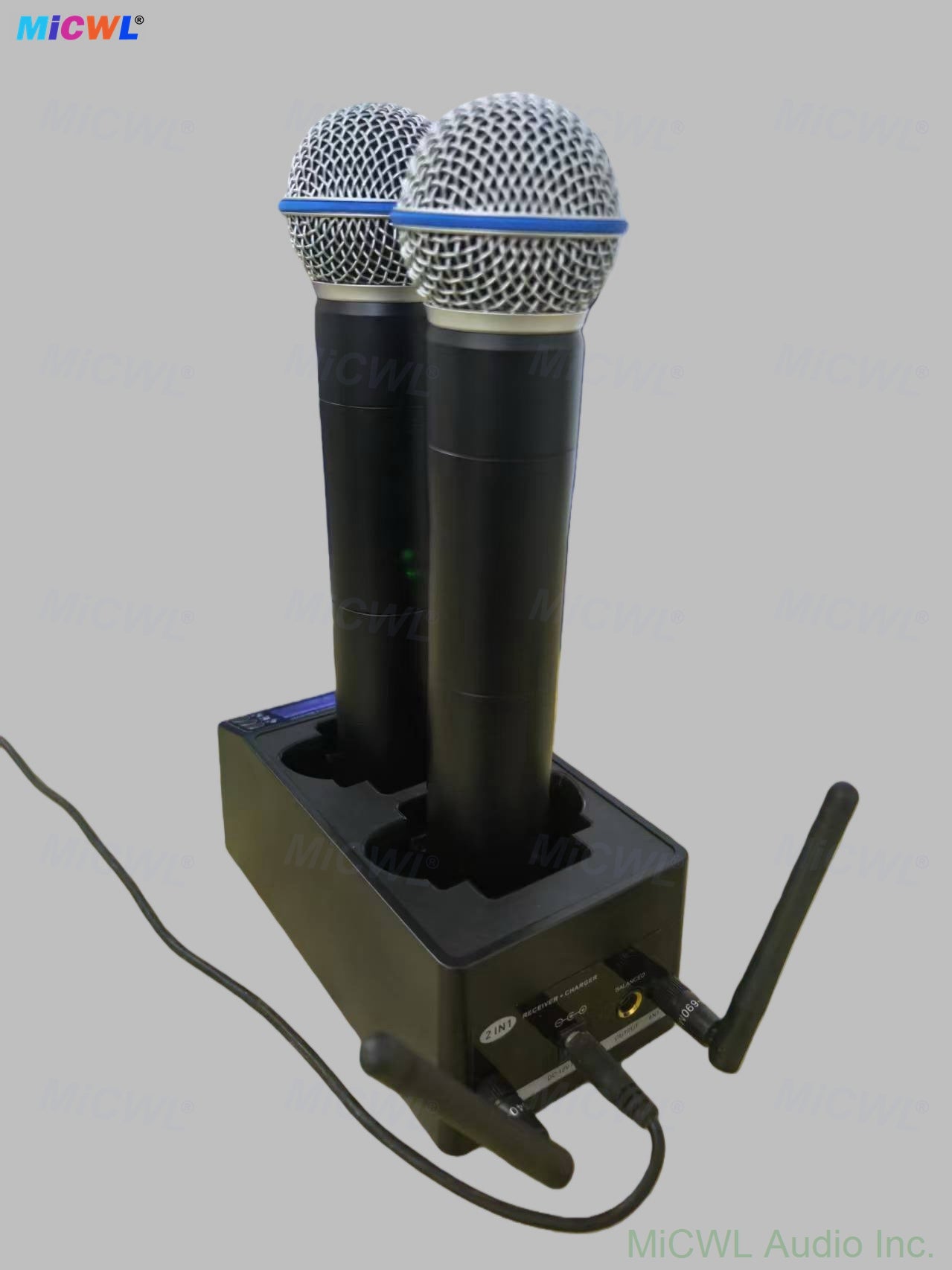 Rechargeable SLXD24 Beta58 Dual Handheld Digital Wireless Microphone System UHF Mic for Stage Performance, Karaoke, Party & Live Events Lapel Headset Bodypack Charging