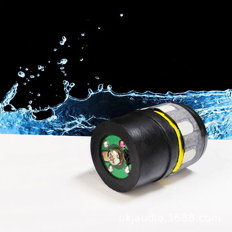 B-58D Dynamic Microphone Capsule for KTV Wireless Mic
