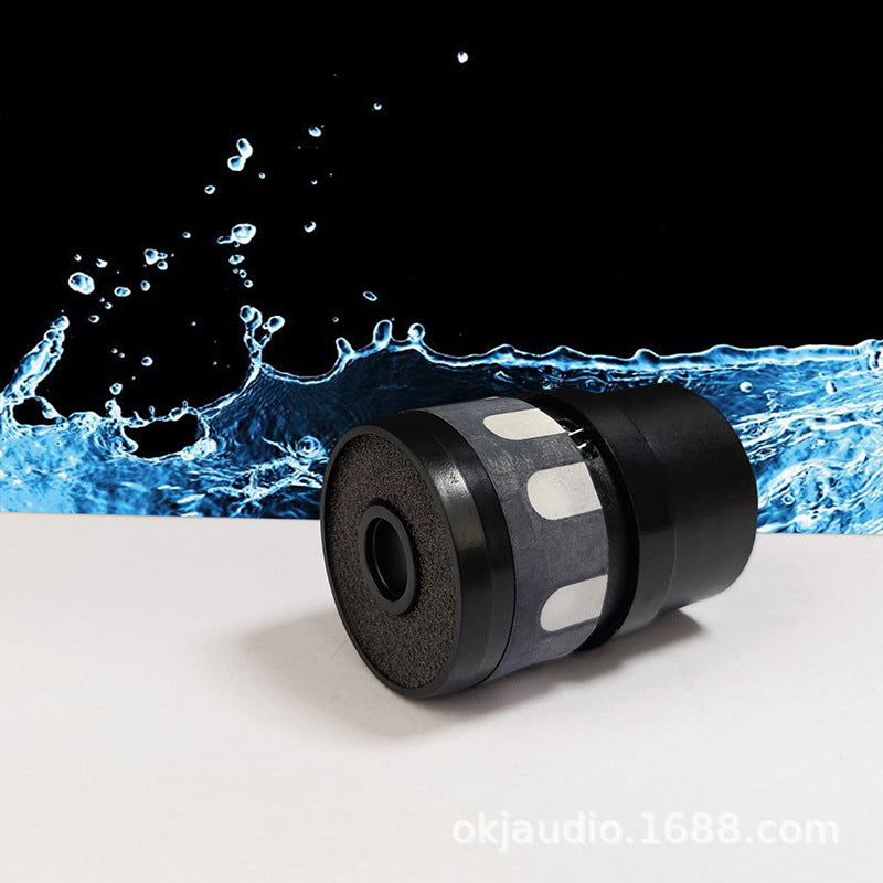 SR-58D Dynamic Microphone Capsule for KTV Wireless Mic