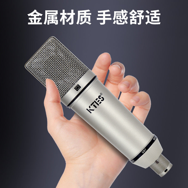 TF-51 Large-Diaphragm Condenser Microphone