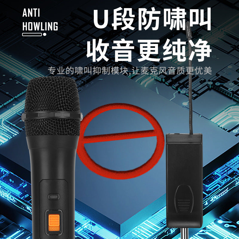 Dual Channel Wireless Microphone System