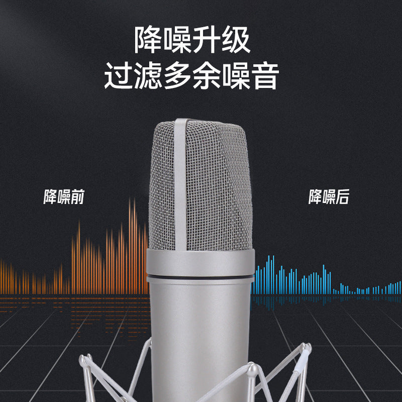TF-51 Large-Diaphragm Condenser Microphone