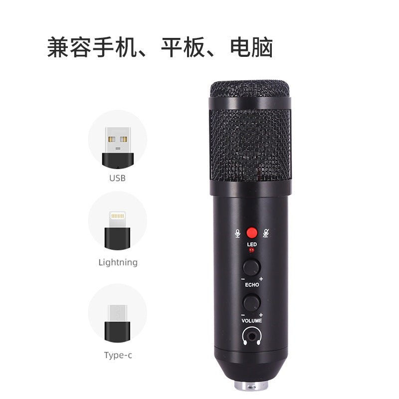 Professional Condenser Microphone Kit