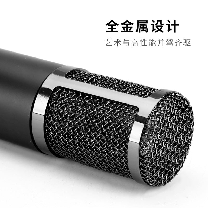 Professional Large-Diaphragm Condenser Microphone KMS-U47
