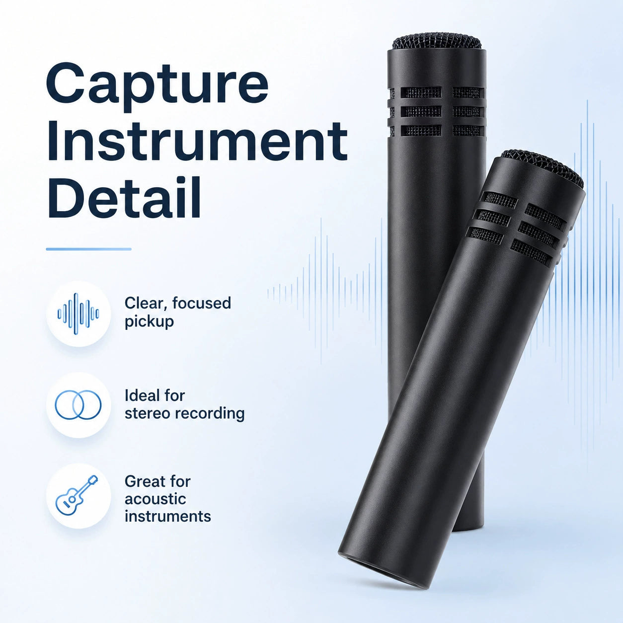 Large-Diaphragm Condenser Stage Microphone