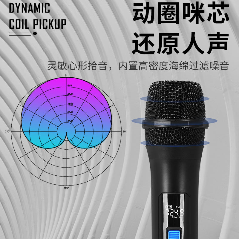 Dual Channel Wireless Mic with Sound Card