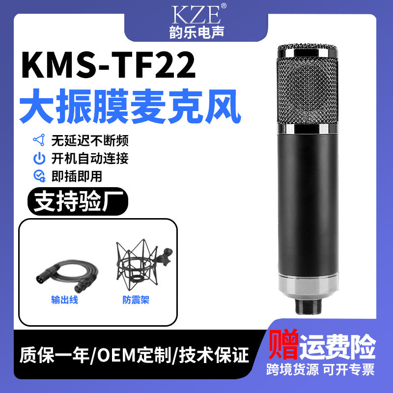 Professional Large-Diaphragm Condenser Microphone KMS-U47