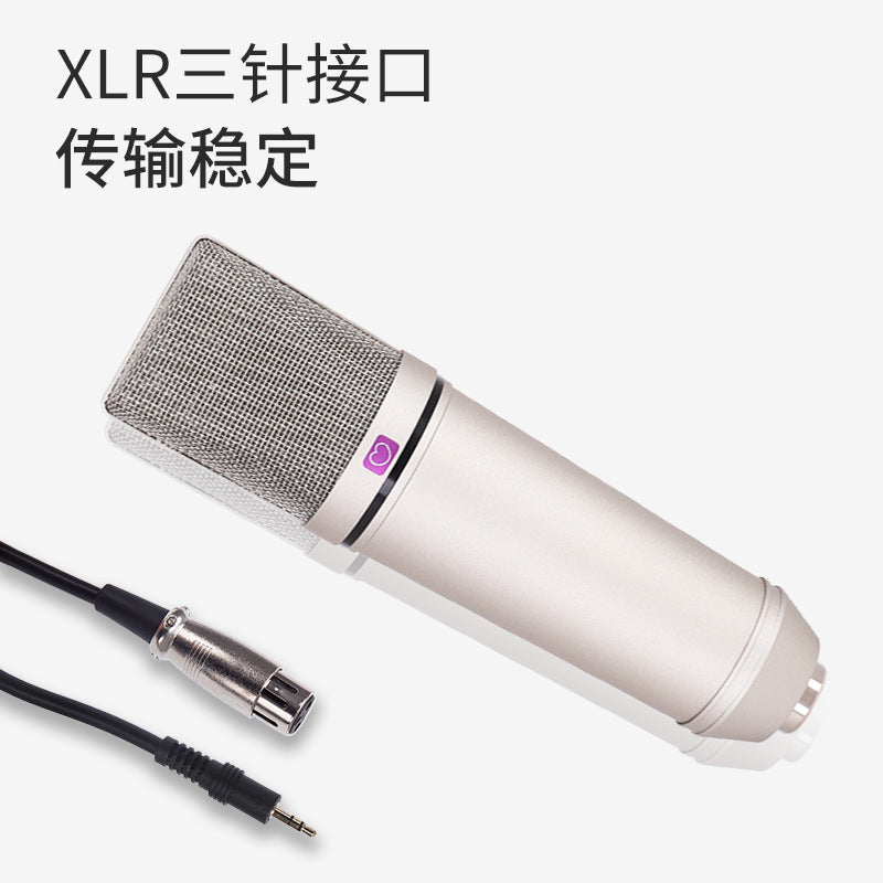 Professional Wireless Microphone System U87