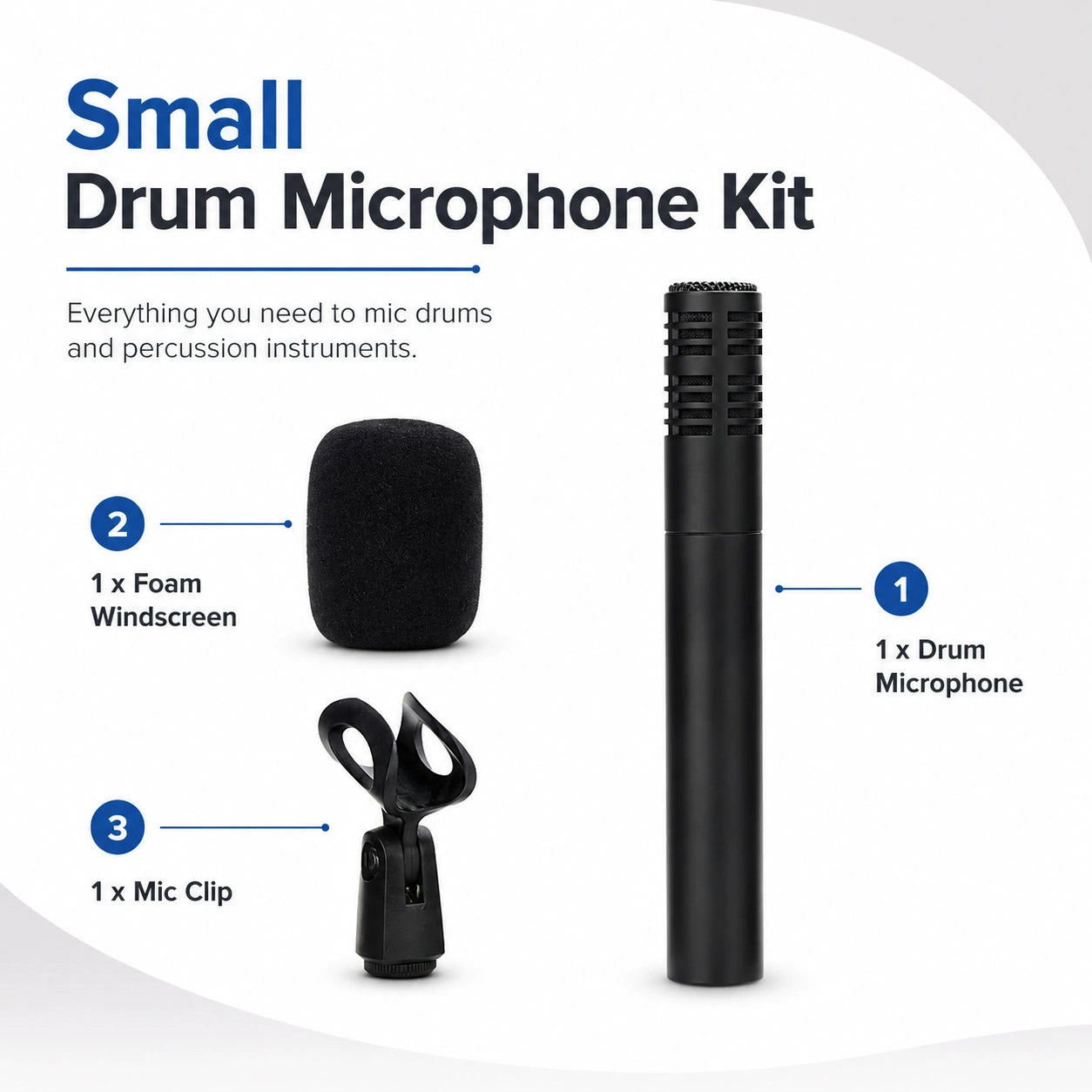 Chorus Large-Diaphragm Condenser Microphone
