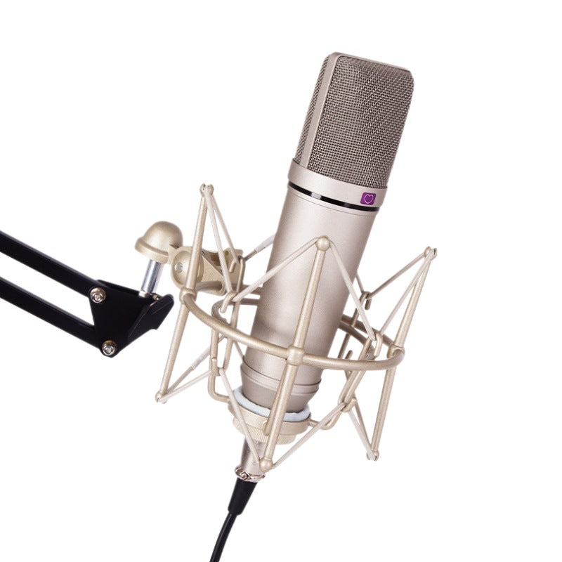Professional Condenser Microphone U87