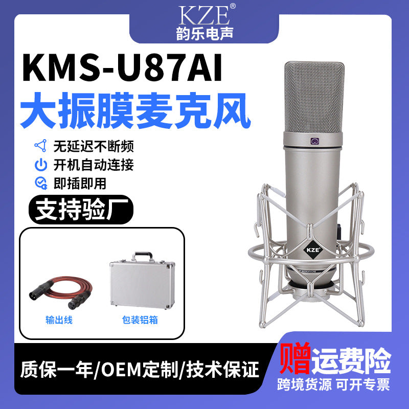 TF-51 Large-Diaphragm Condenser Microphone