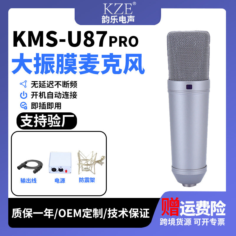 TF-51 Large-Diaphragm Condenser Microphone