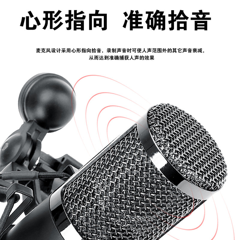 Professional Large-Diaphragm Condenser Microphone KMS-U47
