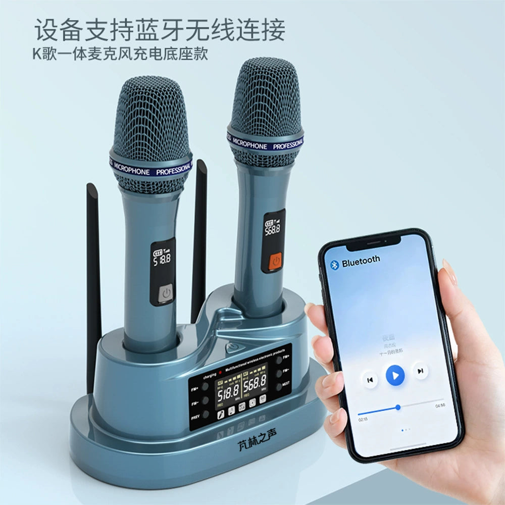 PM-1688 Dual Channel Wireless Dynamic Microphone System for Karaoke & Stage