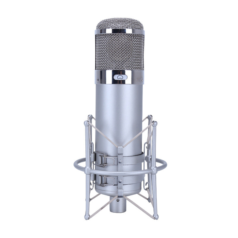 Professional Condenser Microphone U87