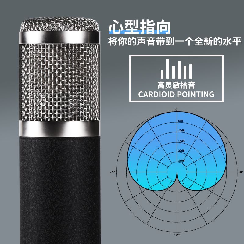 TF-51 Large-Diaphragm Condenser Microphone TF-51
