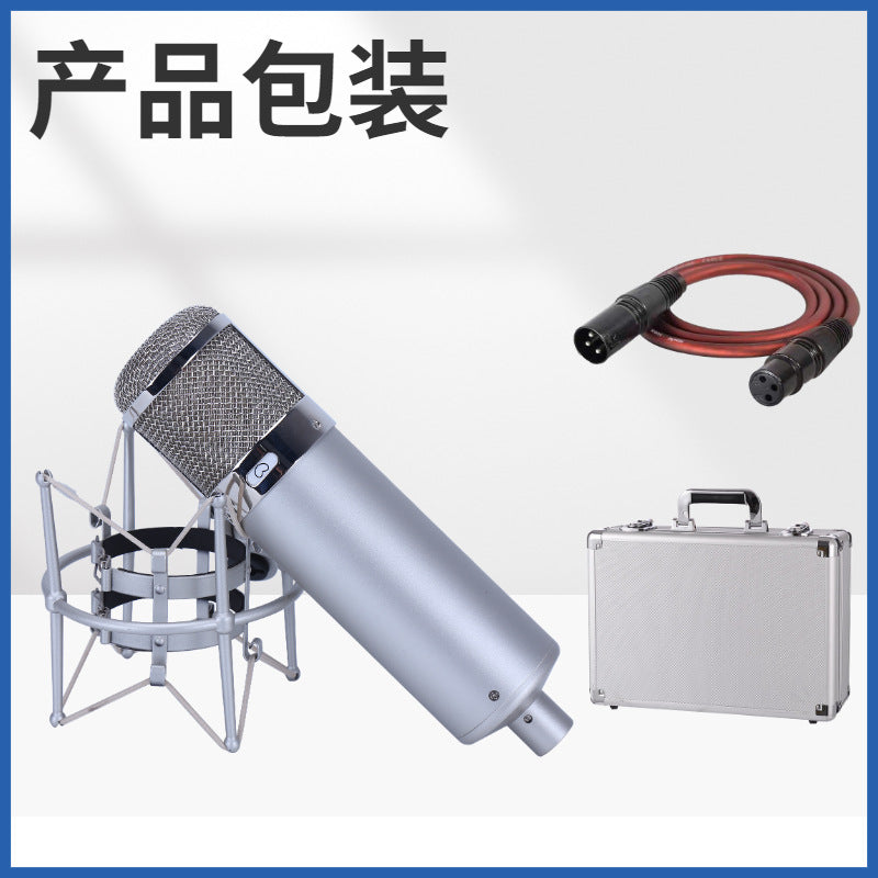 Professional Condenser Microphone U87