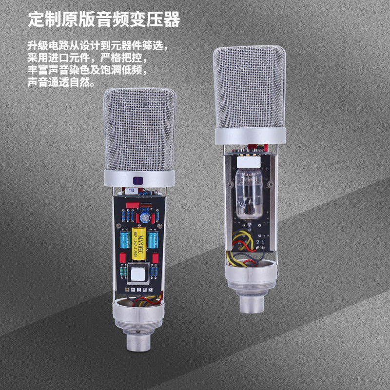 TF-51 Large-Diaphragm Condenser Microphone