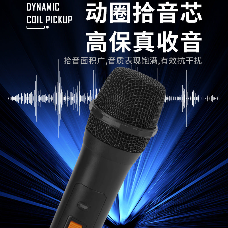 Dual Channel Wireless Microphone System