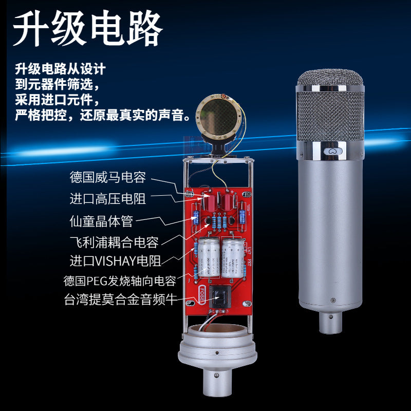 Professional Condenser Microphone U87