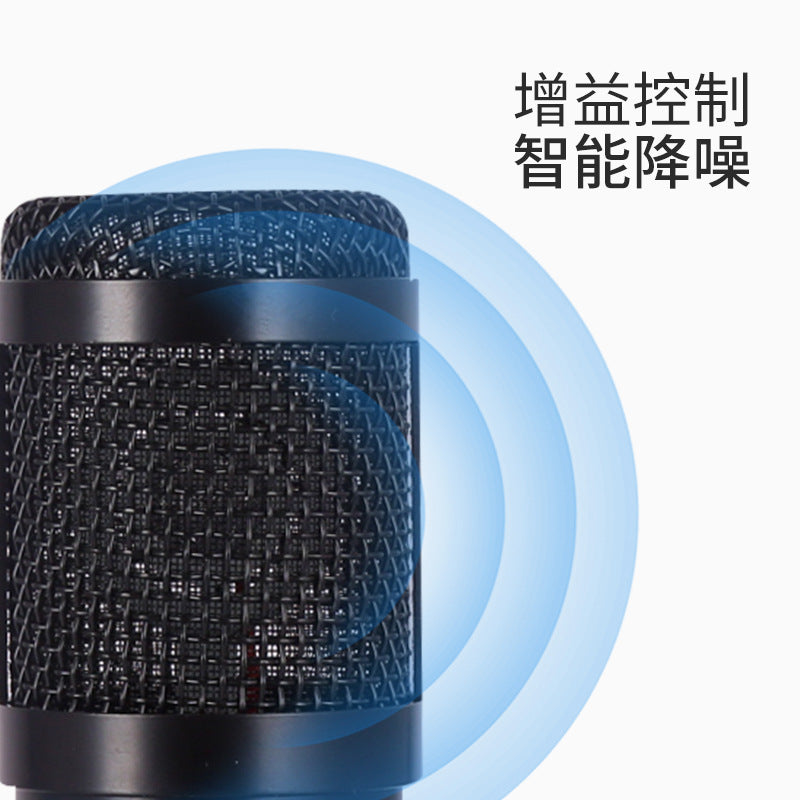Professional Condenser Microphone Kit