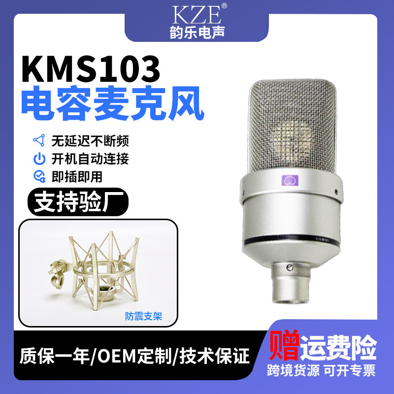 103 Large-Diaphragm Condenser Microphone