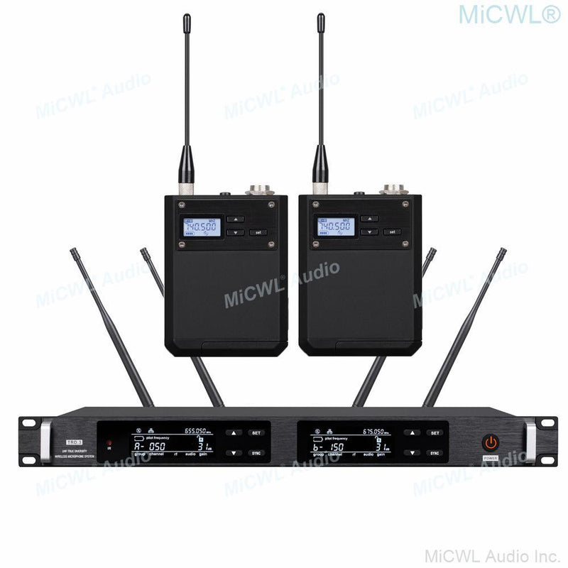 UHF 300 Channel True Diversity 2 BodyPack Digital Wireless Microphone System AD4D Dual Headset Stage Concert Karaoke Mics