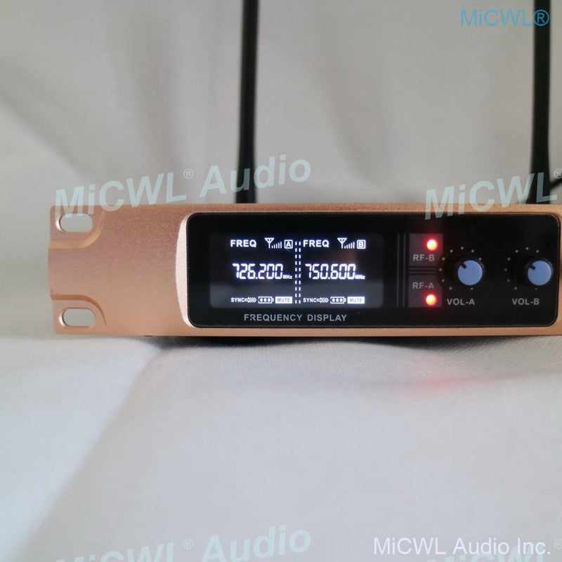 X288 Wireless Microphone System Dual Channel Audio Karaoke Stage Performance Dynamic Handheld Mics