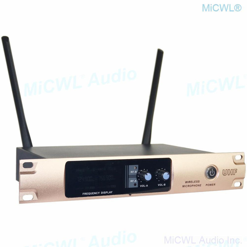 X288 Wireless Microphone System Dual Channel Audio Karaoke Stage Performance Dynamic Handheld Mics