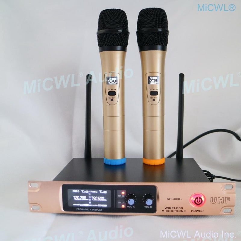 X288 Wireless Microphone System Dual Channel Audio Karaoke Stage Performance Dynamic Handheld Mics